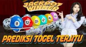 Jitu99 Player